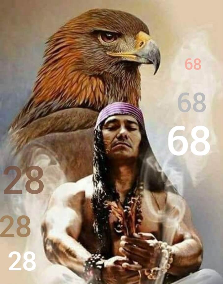 343525579_953616009167345_4109216425418041018_n.jpg