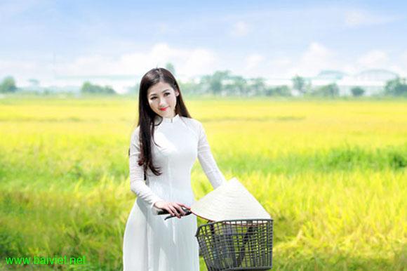 35103635org_56939[1].jpg