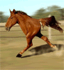 3728.gif