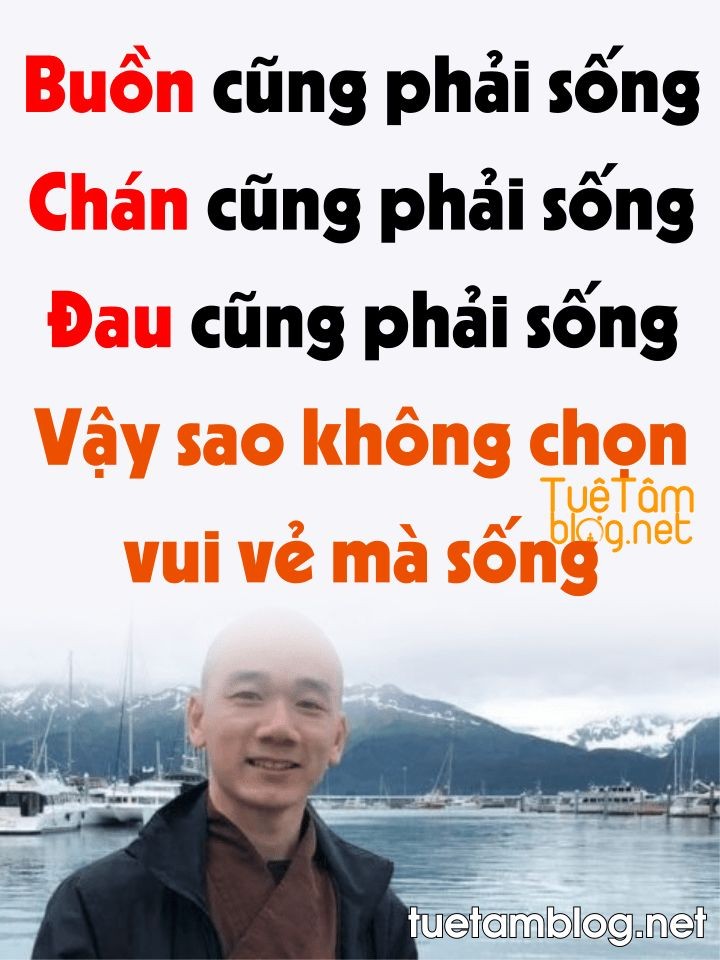 37b726d5c485709bddc9ed0712f0efe5.jpg