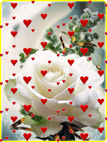 37e405ac914dbd609b9cac05a57372c8.gif