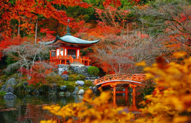 38-kansai-custom[1].jpg