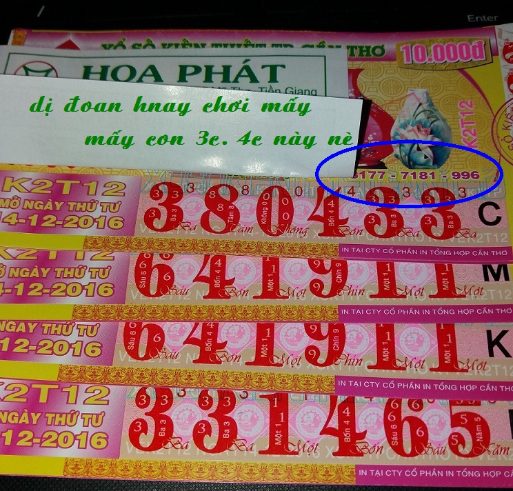 3c WIN.jpg