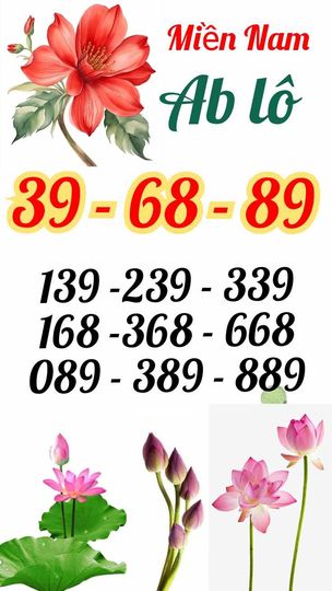436571936_941119474472890_4964436750889102576_n.jpg