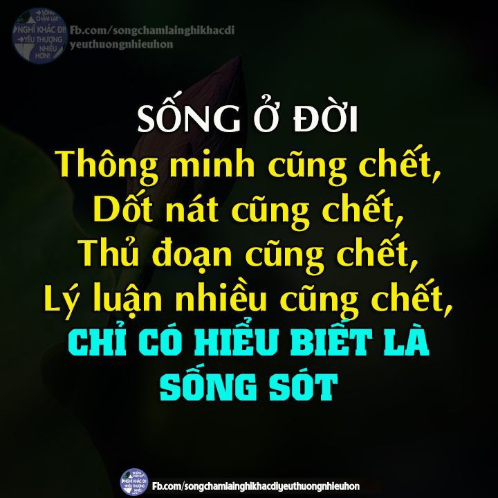 43c400457651eed58b2a9feec52c9159.jpg
