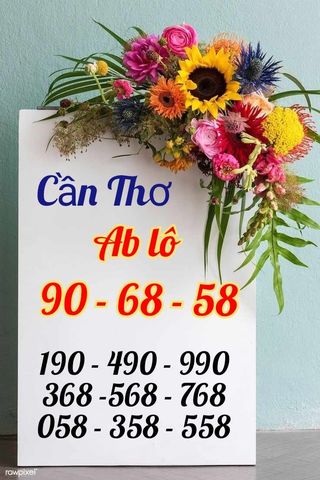 448357755_507239621729164_5900621313676450652_n.jpg