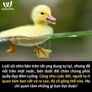 473336FC-2CCE-4913-BE47-F0059D955C51.jpeg