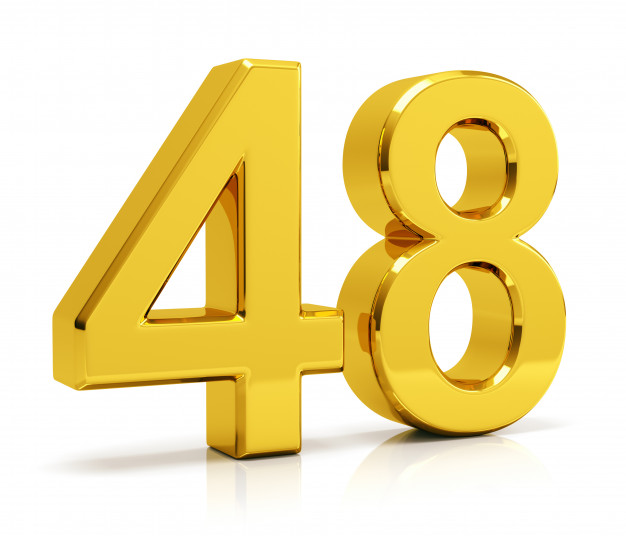 48.jpg