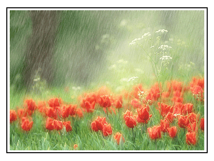 4a45d81e_183a32df_4a1e8c0f_3fbcbd07_taochu_com_rain24[1].gif