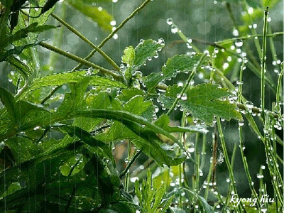 4b358ac0_4b4ec9f3_18_iykim2000-3[1].gif