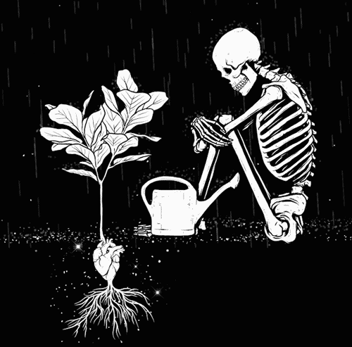 4ba4bf01effa6ddecc96d5000655d64c.gif