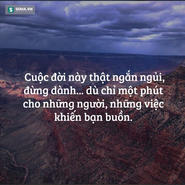 4bc97a873db9a112314d753327ed152c.jpg