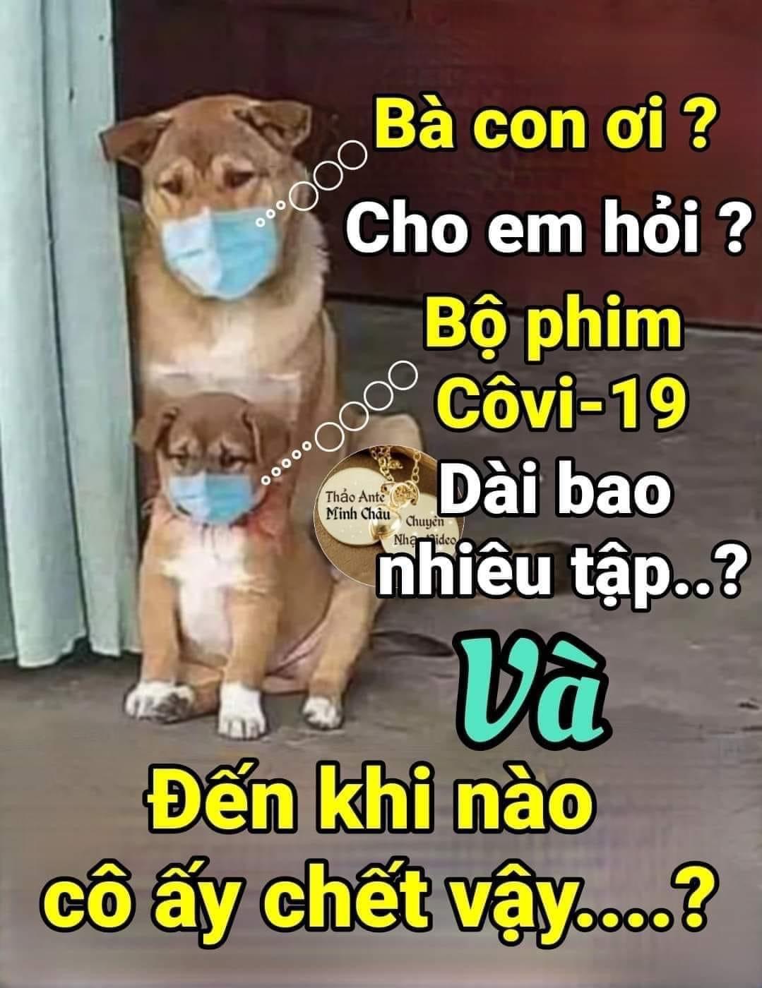 4E9A5D88-16AE-42B5-8BF3-C90D1761D507.jpeg