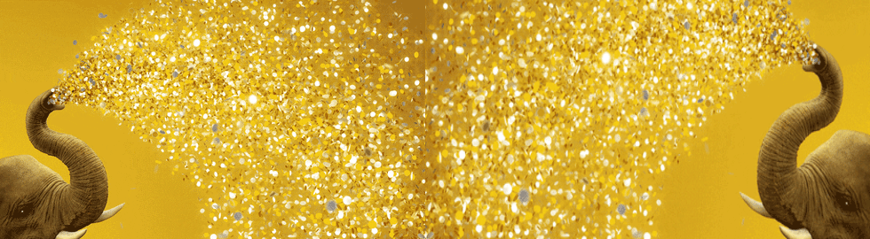 52466056_422715195162717_4360107493020401664_n.gif