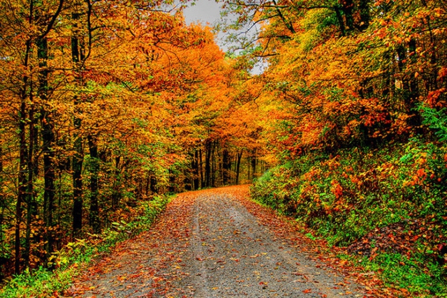 52b0f07aac094[1].jpg