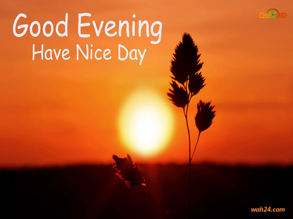 5391-14-evening-wishes-evening-have-a-nice-day[1].jpg