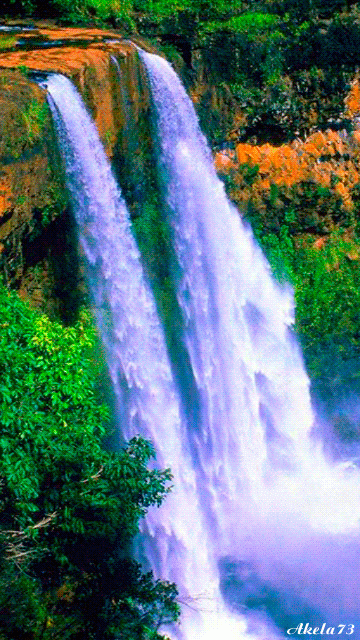 5395d9a10d00a71e6dcbfc7d8e53b4e3.gif