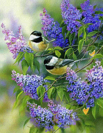 541155_1[1].gif