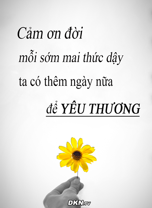 55495499-635E-400A-A533-4FEC05CAA04C.png