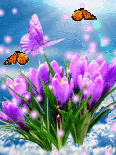 5594f1d5dabdbd643a01d913fc31b4ed.gif