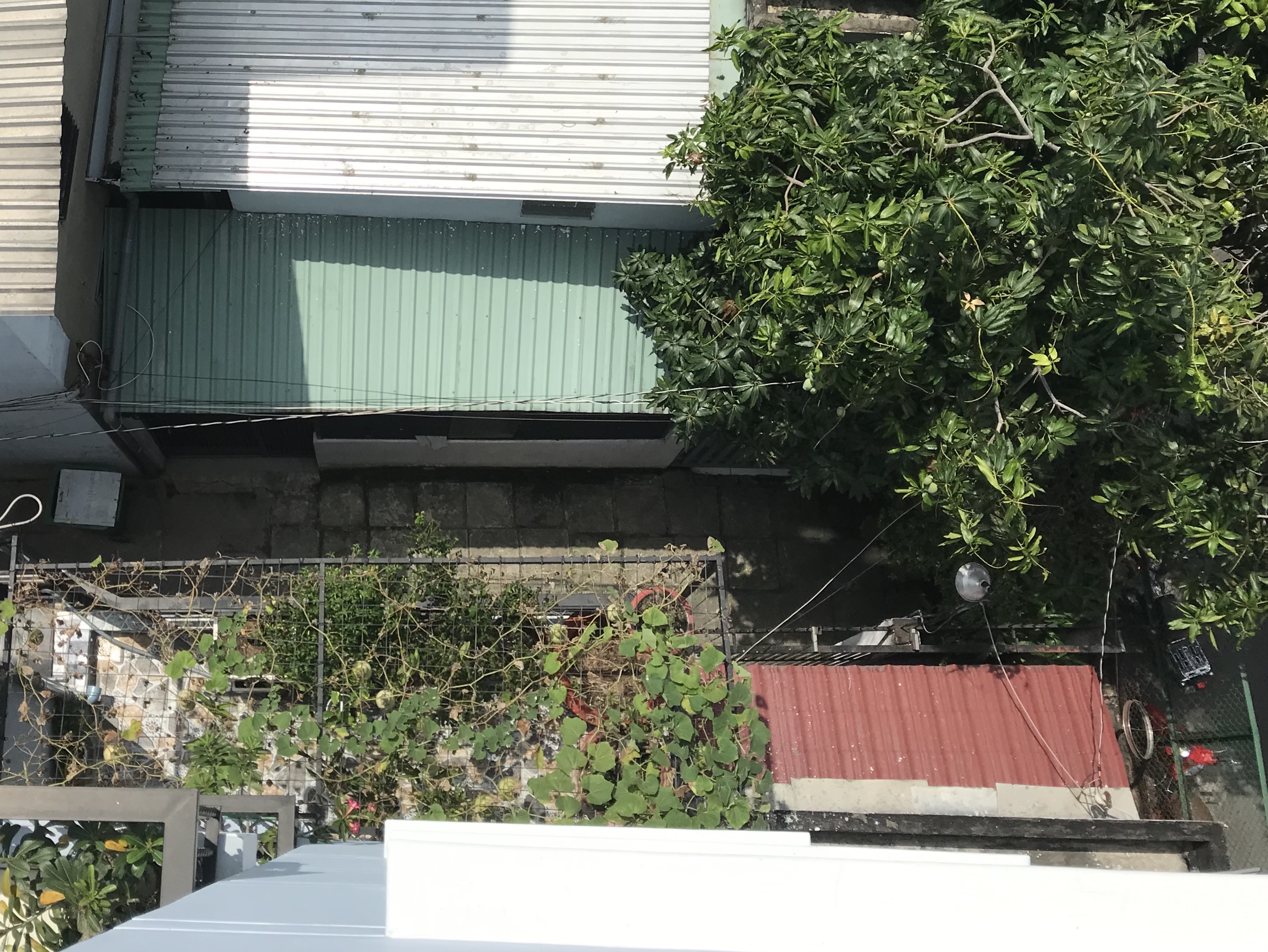 5748274E-5186-4DED-9526-679F80E9A2E3.jpeg