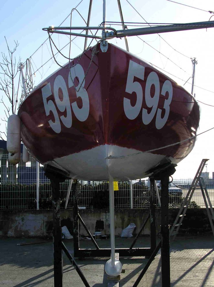 593 AV.JPG