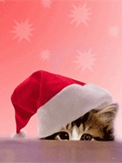 59683168c7274d61473e42e2a8c4cba8.gif
