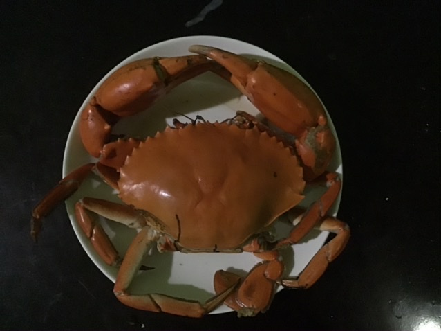 5A567945-18EE-4D0B-9047-1FEB987F7FC8.jpeg
