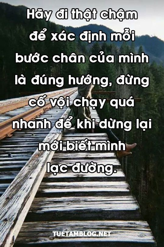 5e23cc79cb1508c76f160c8af6aafcdb.jpg