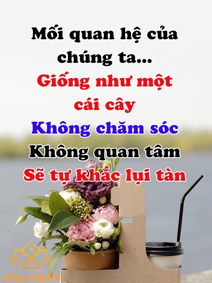 5ECE70F7-B019-4DFF-8CC6-D3469F539018.jpeg
