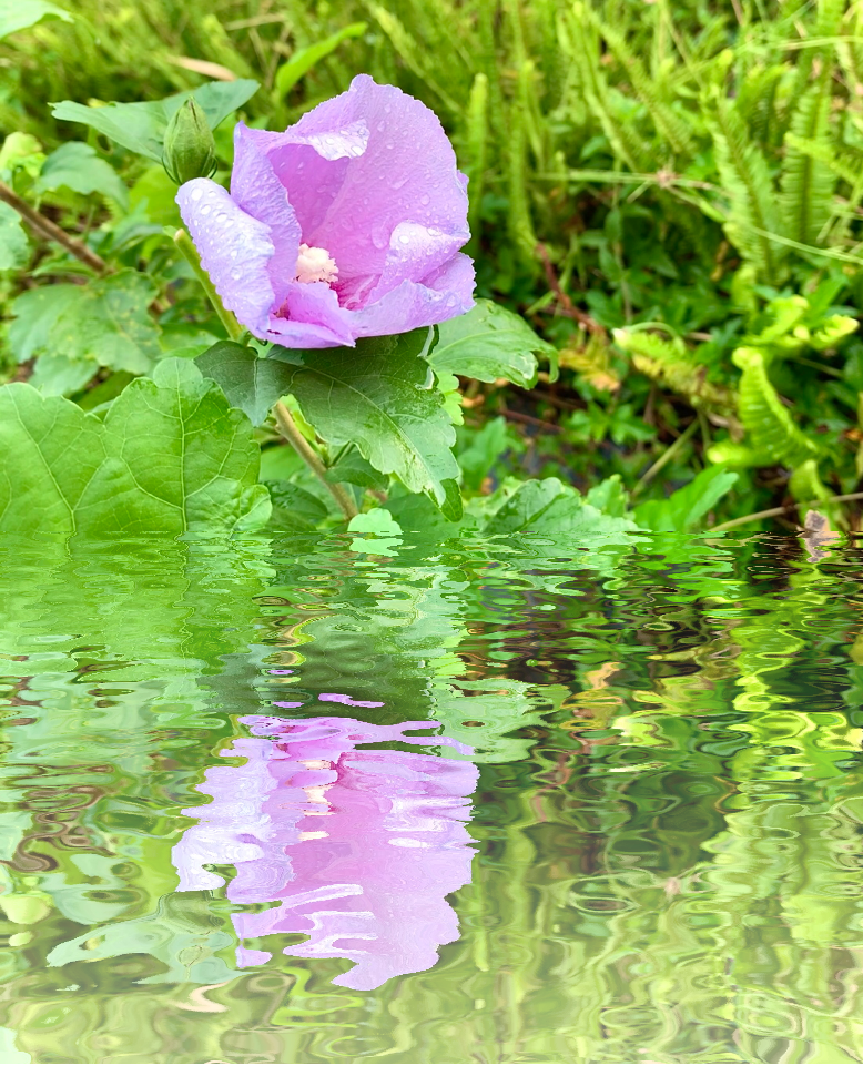 5F084DDD-C6D0-45B4-A256-5208E70E1714.png
