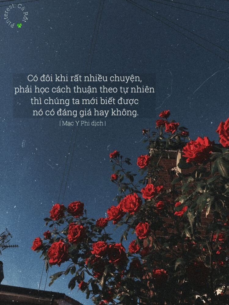 5fb673ed221a7aa0b3b130bf830eed97.jpg