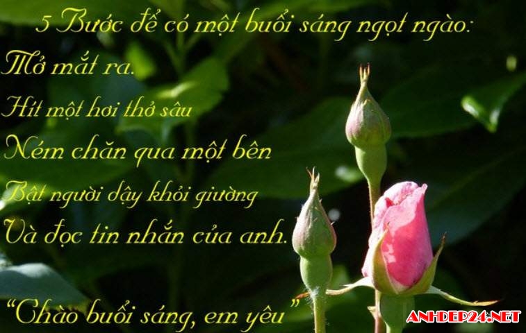5iJJ9I1.jpg