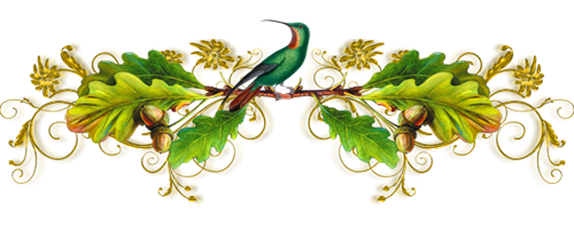 (6).png