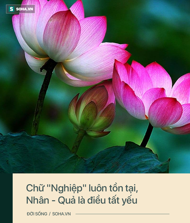 6272D6F7-0A71-439B-A9F4-7972731D2D36.png