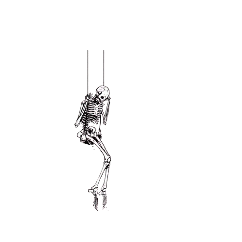 644675ef6cff67af5507d5238348d0c4.gif