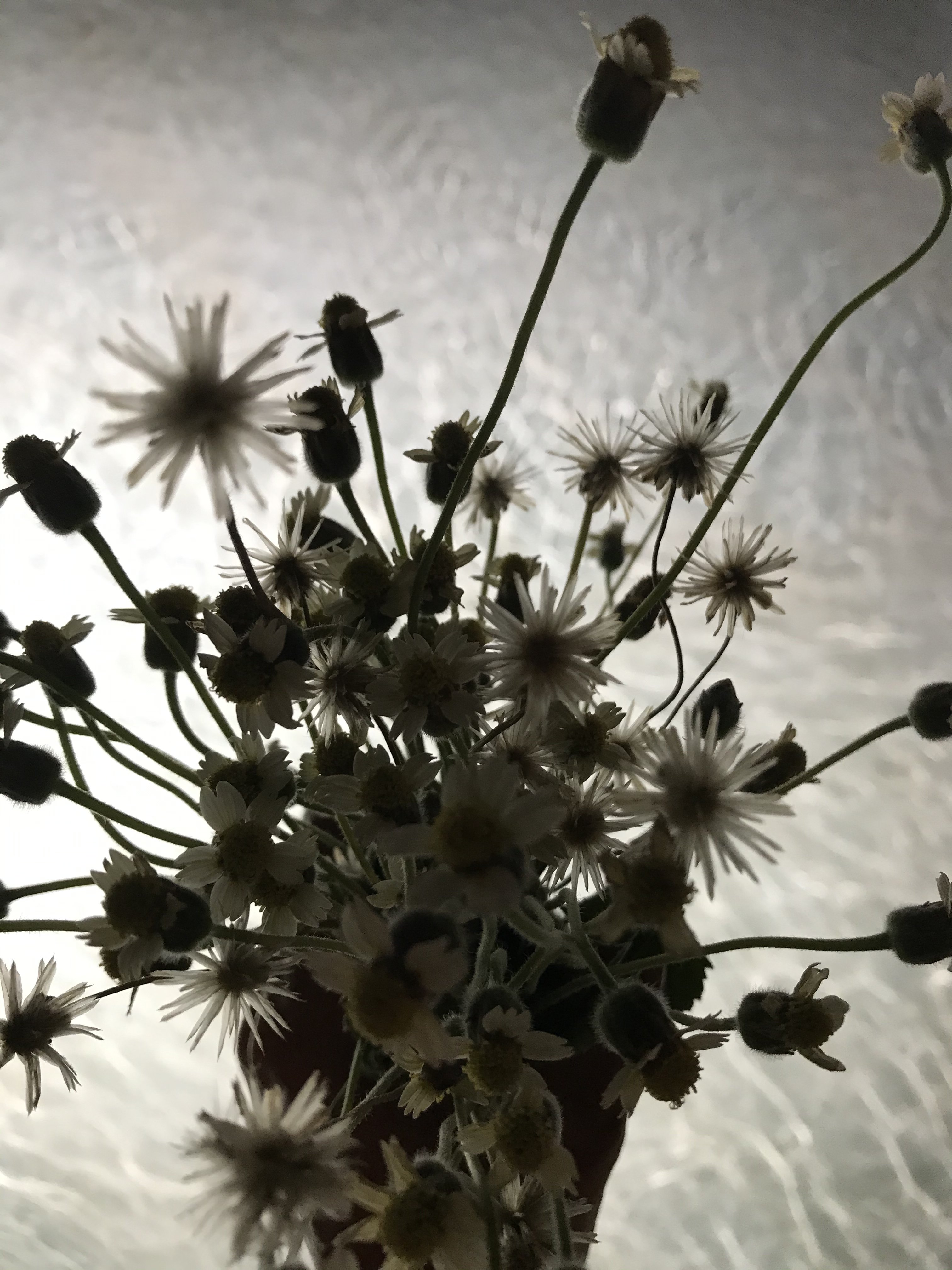 64EC262D-7F93-4BC9-A711-3FA2827A6E15.jpeg