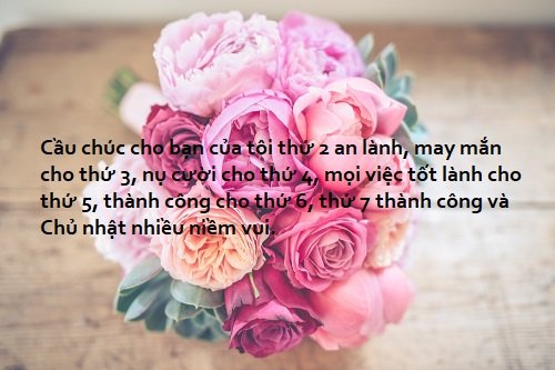 6C719DCC-A0D0-42A8-9E1C-F477D317FC2F.jpeg