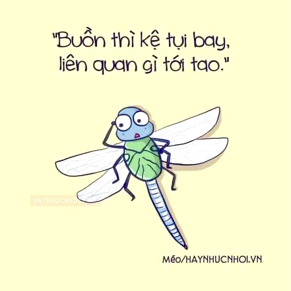 6EFB86B9-7DAE-421B-BEB5-BD9E49296532.jpeg