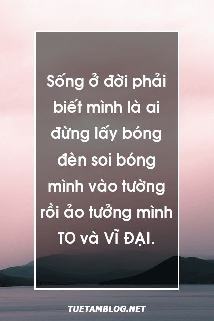 6f0be74d81f84864a85c1bde4e22fb9c.jpg