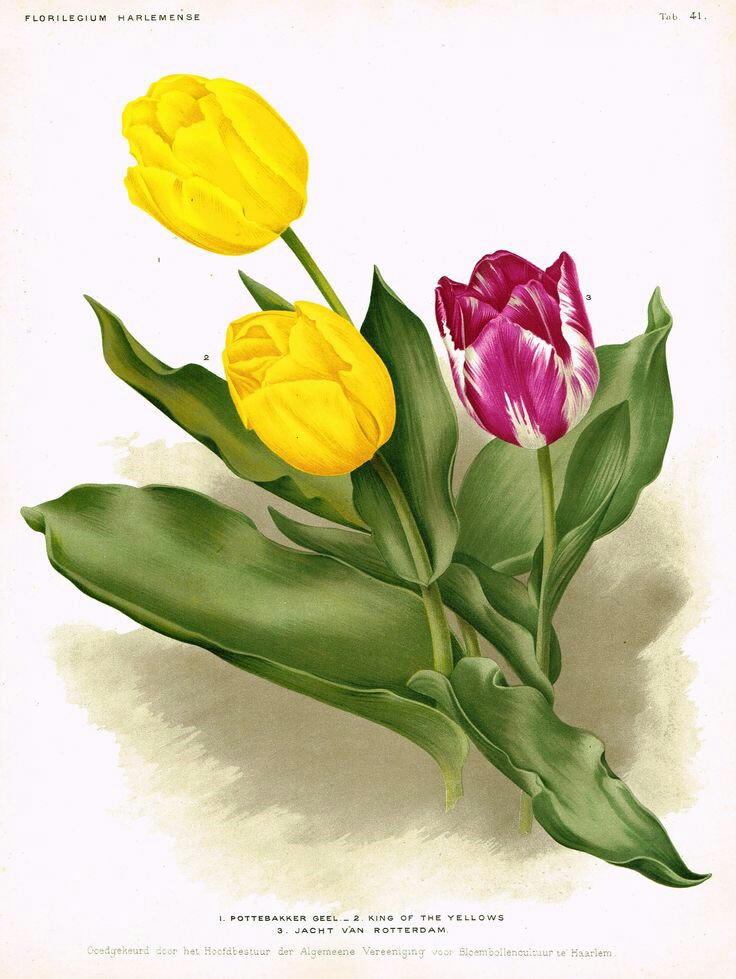 6f8eb4f406e24a41c5706f3a619a8bb9.jpg