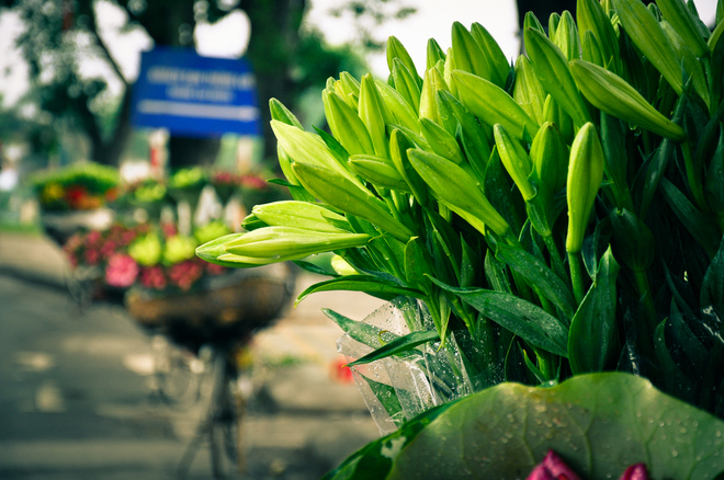 7-Mua-loa-ken-Ha-Noi-1406715646_660x0[1].jpg