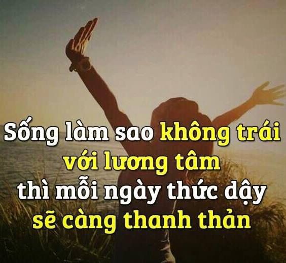 72c6e937f7244b6b4fe27e3ec03333d9.jpg