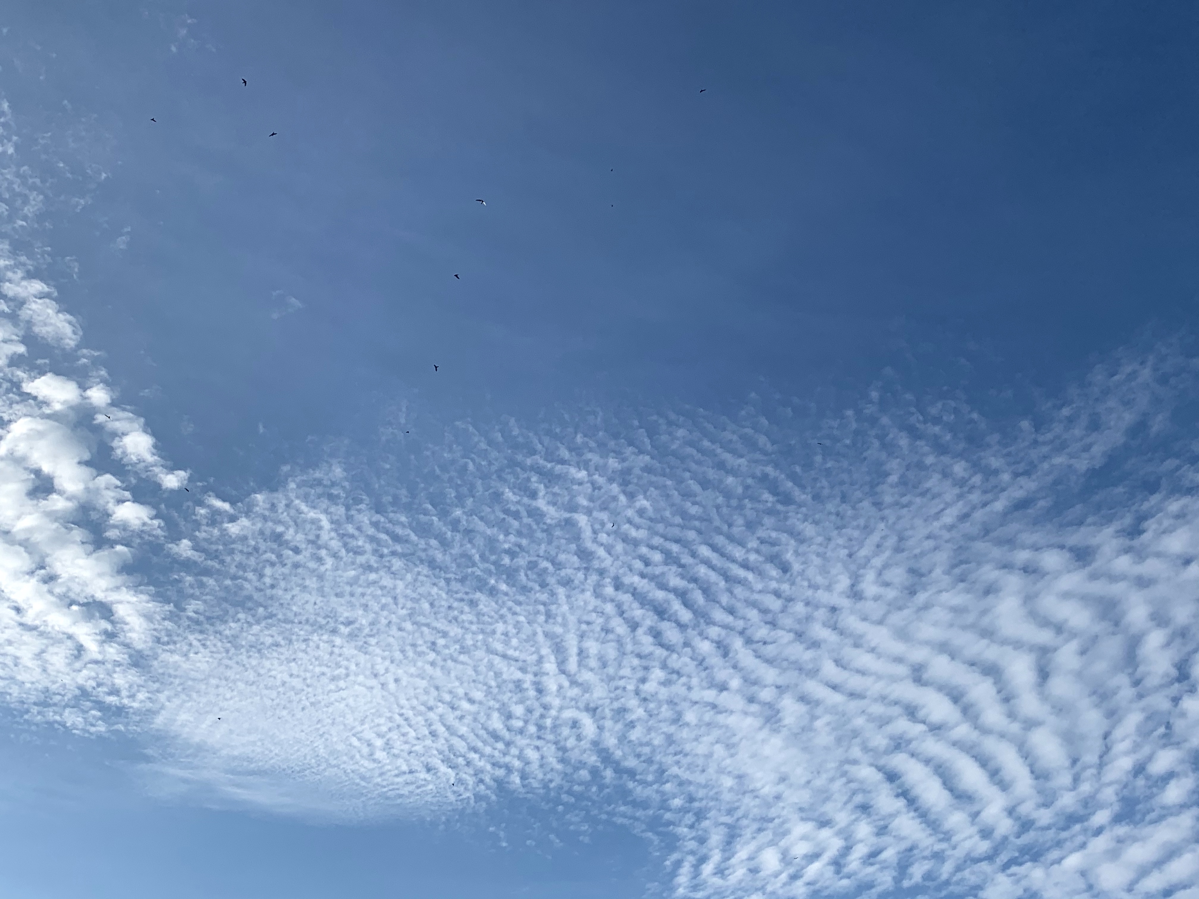 73611E0C-96E1-42C5-94BF-DE9068BAECC1.jpeg