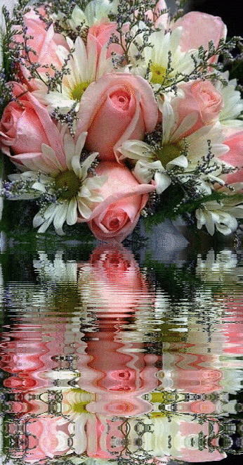 76c3c0e650c820cf119cf0df2bfbded8.gif