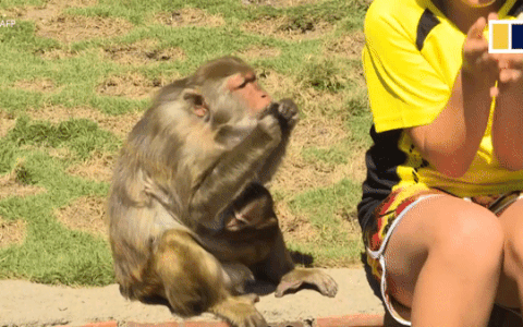 7A7794B0-D1F3-4A74-AC20-0D99D63A6F9E.gif