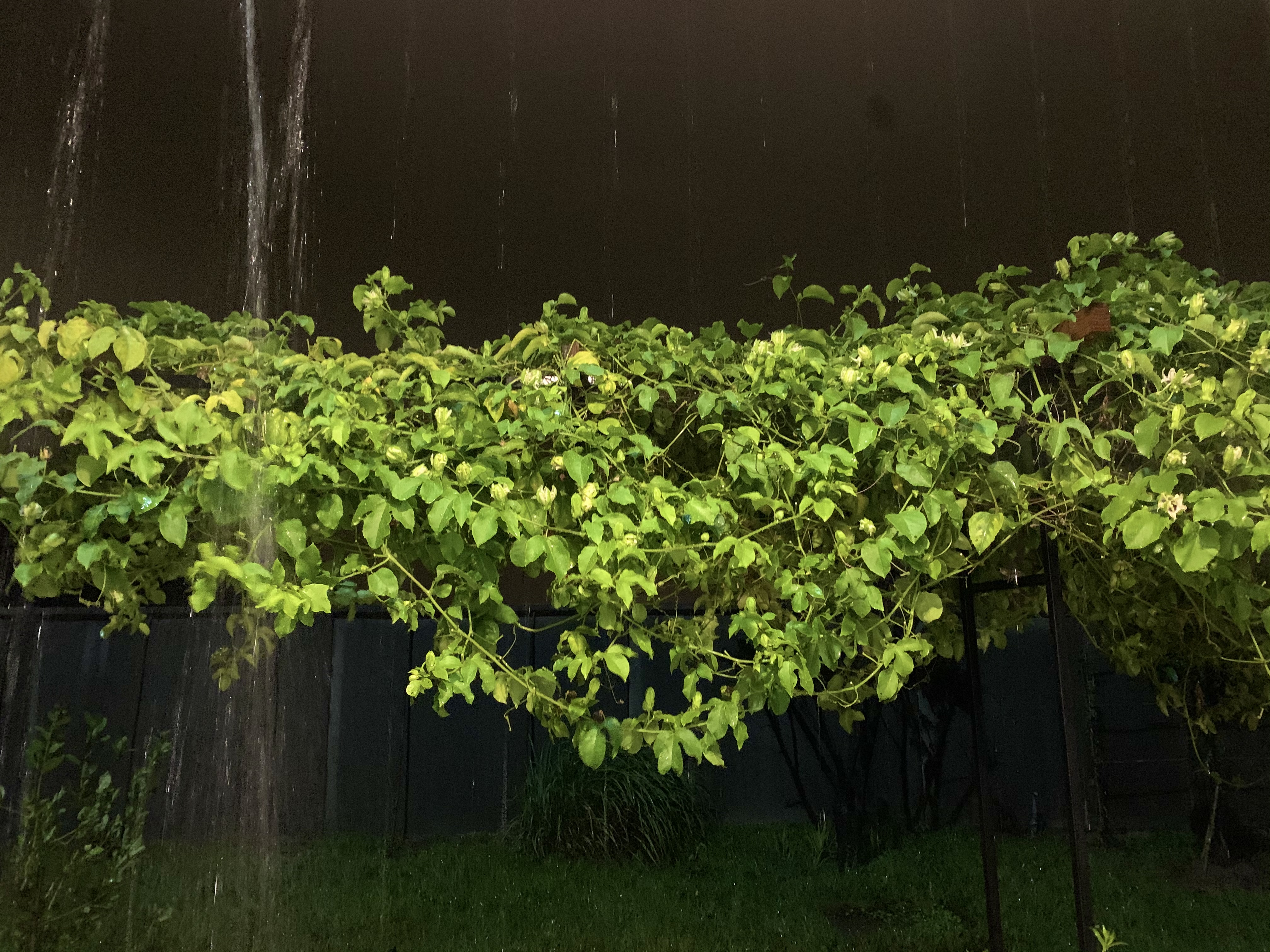 7AB2713E-D74A-485E-B107-E36559255564.jpeg