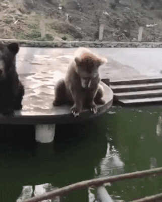 7abb533a663348e09da3e0a2f581e749.gif