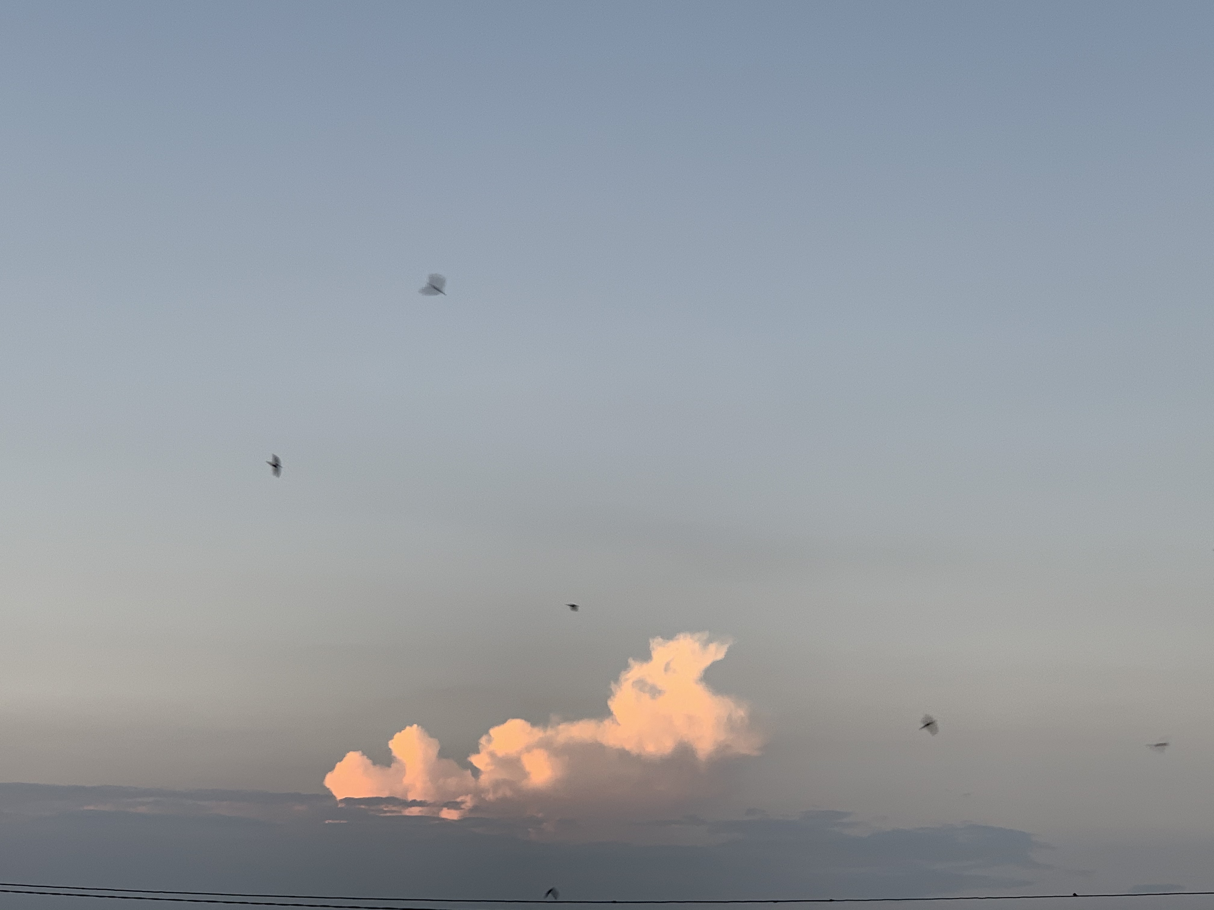 7AC4F7FA-1C87-4B47-A3AC-E9AC1D5F9E9F.jpeg