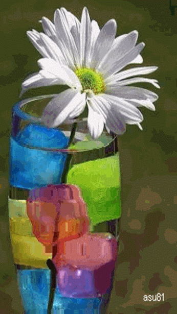 7adcd28aa9d7ca18863e0835b5416d2c.gif